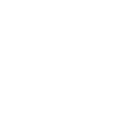 ALC Trading Logo